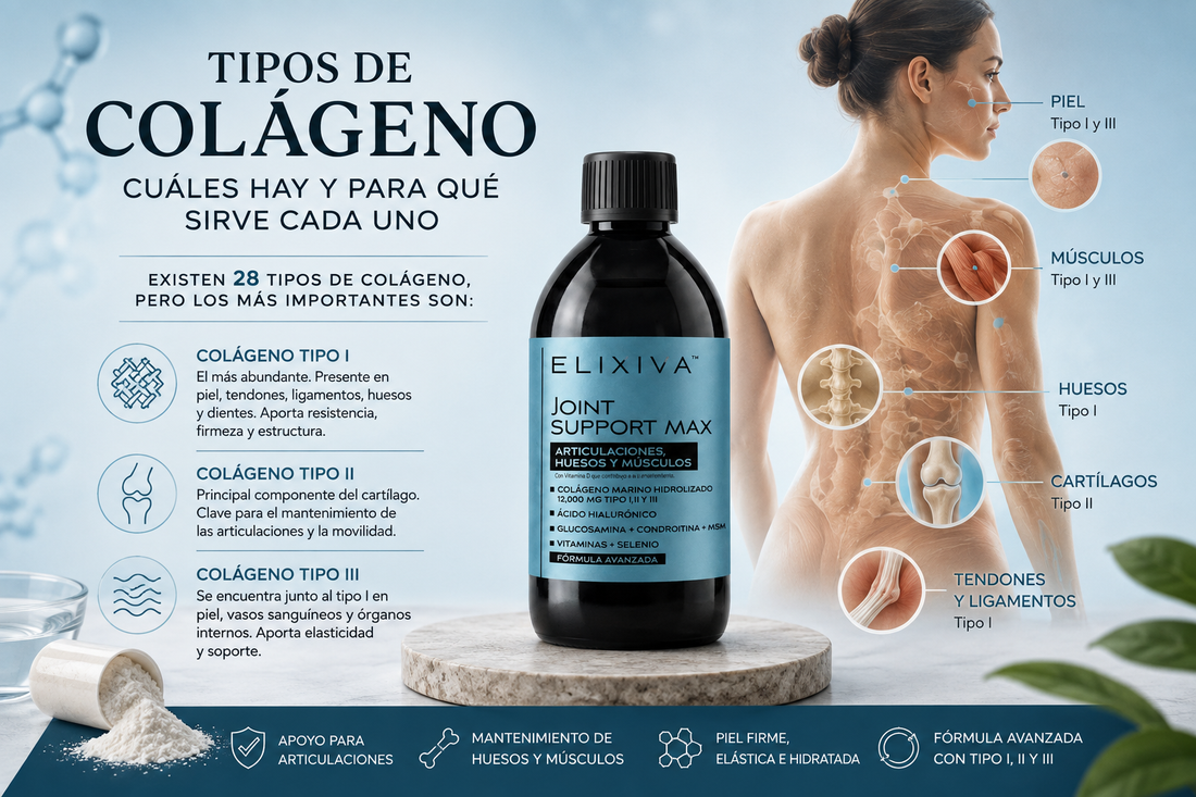 Tipos de Colágeno: Cuáles Hay y Para Qué Sirve Cada Uno